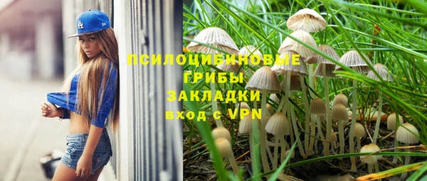 не бодяженный Надым