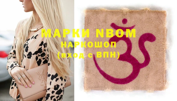 гидра Вяземский
