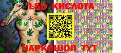 бошки Камышлов