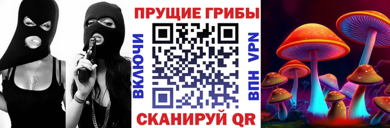 Галлюциногенные грибы Magic Shrooms  Шадринск 